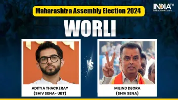 Maharashtra Assembly Elections 2024