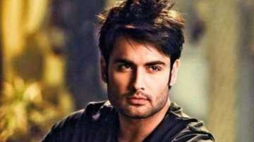 Vivian Dsena 