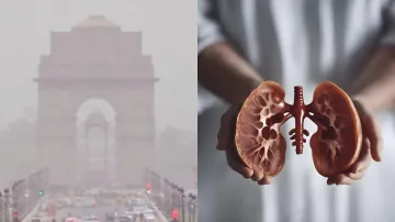 Air pollution can affect kidney health