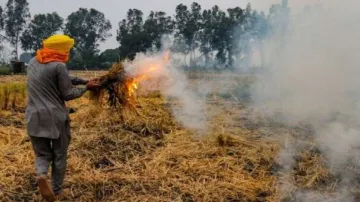 stubble burning in punjab