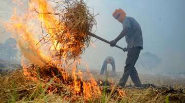 Delhi, Delhi pollution, Delhi AQI,  stubble burning