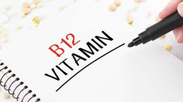 vitamin B12 deficiency then you must include these things in your diet