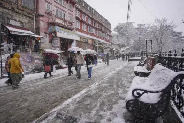 Snowfall in Himachal: Logjam reported after 174 roads closed, 700 tourists stranded 