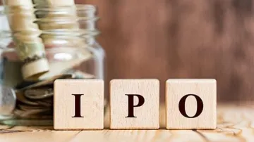 IPO rises at record breaking height in 2024