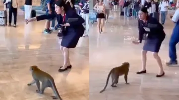 A screen grab shows woman guiding monkey at Singapore's Changi Airport.