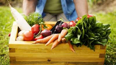 Organic Foods: What You Need To Know