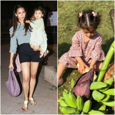 Right from going out shopping with mother Mira Rajput to playing with organic fruits and veggies, Shahid Kapoor's daughter Misha is a delight. The little munchkin is too cute for words and, we just can't seem to get enough of her.