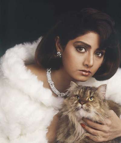 Bollywood actress Sridevi would have turned 55 today if time didn't snatch her away from us in February this year.&amp;nbsp;