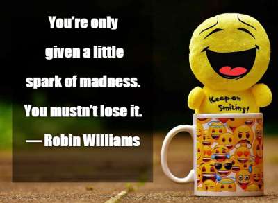 You&amp;rsquo;re only given a little spark of madness. You mustn&amp;rsquo;t lose it. &amp;mdash; Robin Williams