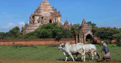 Bagan Vdeu Xxx - Porn video shot at Myanmar's best-known tourist hotspot Bagan sparks  outrage â€“ India TV
