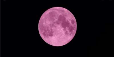 Pink Moon