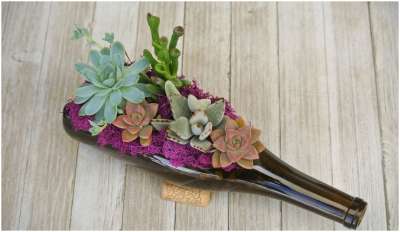 Use your empty wine bottle for these succulent plants that look stylish and need little maintenance. You can use the wine corks as the base to ensure the bottle does not flip over.