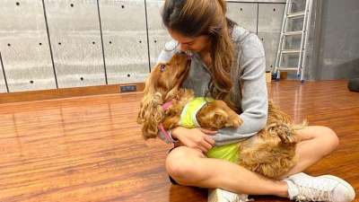 Disha Patani is the happiest when she is with her four pets&amp;nbsp;Bella, Jasmine, Goku and Keety. The actress's photos with them are just too cute for words.