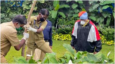 Amitabh Bachchan loves gardening. The actor has a huge garden in his house Prateeksha and very often shares stories about his trees on his blogs and various other platforms.