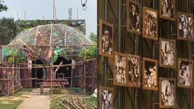 Durga Puja 2021: Importance of trees to COVID-19, pandals deck up in colourful &amp;amp; significant themes | PICS