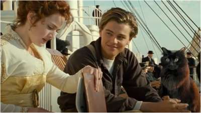 Titanic reimagined with Leonardo DiCaprio and a cat is the 'purrfect' love  story, watch video | Trending News – India TV