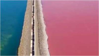 Surprising pink color of Great Salt Lake's northern portion explained