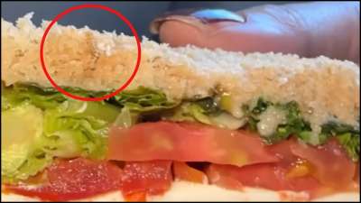 WATCH  IndiGo passenger finds live worm in sandwich, airline responds –  India TV
