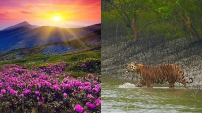 5 greenest places in India that every nature lover must visit this World Environment Day