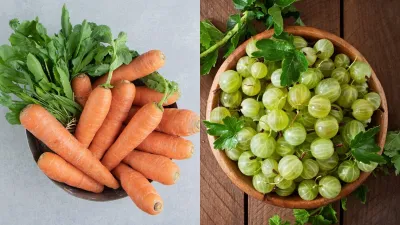 5 winter vegetables to add to your diet for better eyesight 
