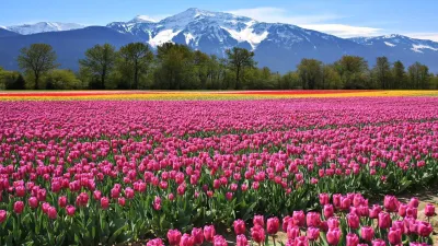 5 most beautiful flower valleys in India you should visit