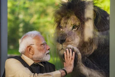 A rare moment captured on camera when PM Modi high-fives the African lion Krishna at Vantara, an animal rescue, conservation and rehabilitation centre in the Jamnagar district.