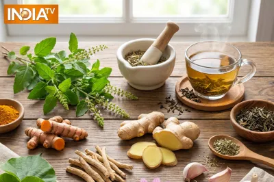A strong immune system plays a crucial role in helping the body defend itself against infections and illnesses. While no single food or herb can guarantee immunity against disease, certain herbs contain compounds that may support immune function, reduce inflammation and promote overall wellness. Many of these have been used in traditional medicine systems for centuries and continue to be valued today for their potential health benefits. A strong immune system plays a crucial role in helping the body defend itself against infections and illnesses. While no single food or herb can guarantee immunity against disease, certain herbs contain compounds that may support immune function, reduce inflammation and promote overall wellness. Many of these have been used in traditional medicine systems for centuries and continue to be valued today for their potential health benefits.