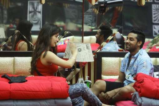 Bandgi Kalra Puneesh Sharma bigg boss 11