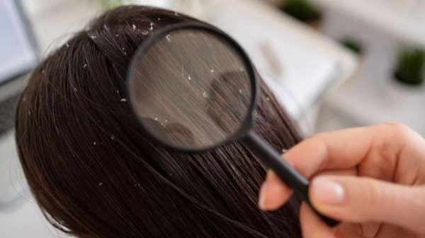 घर पर ऐसे बनाएं यूपी-बिहार के फेमस दाल फरे, स्वाद इतना जबरदस्त कि बार-बार खाना चाहेंगे