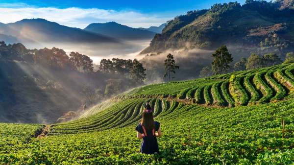 स्ट्रेस बस्टर साबित होगी ये खूबसूरत जगह, लॉन्ग वीकेंड पर बनाएं घूमने का प्लान, प्रकृति के बीच बिताएं समय स्ट्रेस बस्टर साबित होगी ये खूबसूरत जगह, लॉन्ग वीकेंड पर बनाएं घूमने का प्लान, प्रकृति के बीच बिताएं समय