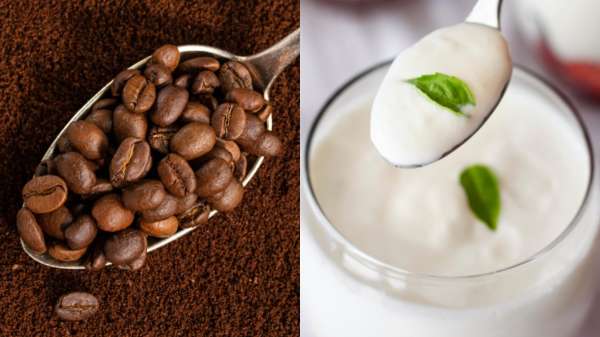 कॉफी और दही को मिलाकर चेहरे पर लगाएं, चमक उठेगी त्वचा, मिलेंगे जबरदस्त लाभ