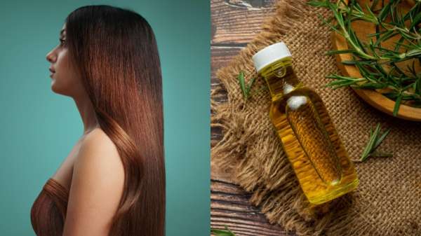 बालों की लंबाई बढ़ानी है, तो कैसे लगाएं रोजमेरी ऑइल, कुछ ही हफ्तों में दिखने लगेगा असर