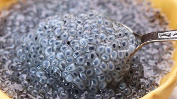 पोषण का भंडार काले रंग के बीज, जान लीजिए सेवन करने का सही तरीका, गर्मियों में सेहत के लिए फायदेमंद