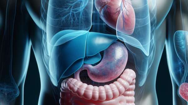 लिवर को डिटॉक्स करना है, तो किन चीजों का सेवन करने से क्लीन हो सकता है Liver? लिवर को डिटॉक्स करना है, तो किन चीजों का सेवन करने से क्लीन हो सकता है Liver?