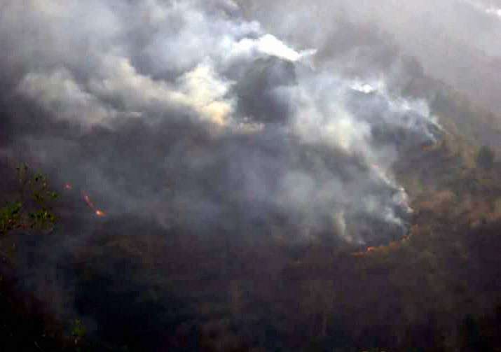 Fire Doused In 70% Of Affected Areas Of Uttarakhand: NDRF | India News ...