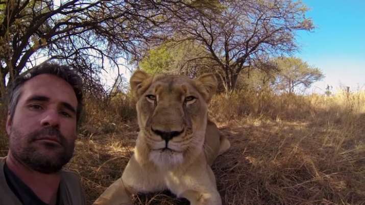 Stop taking 'selfie with lions': Gujarat forest department warns ...