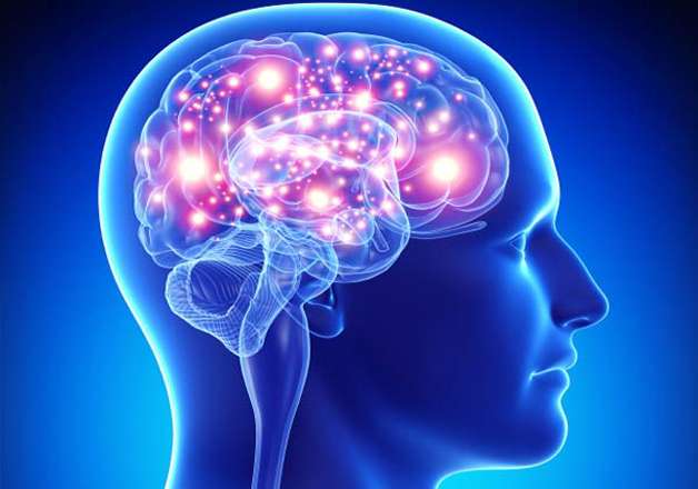 Active Brain