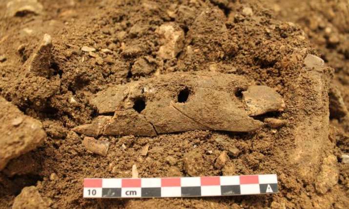 This is how humans made ropes 40,000 years ago