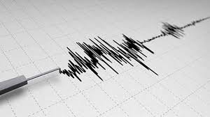 4.6 magnitude earthquake hits Himachal Pradesh, no