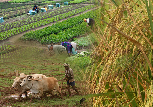 Monsoon ends this week, stage set for record agriculture