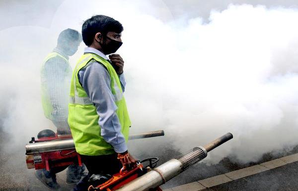 Dengue, chikungunya cases on decline in Delhi
