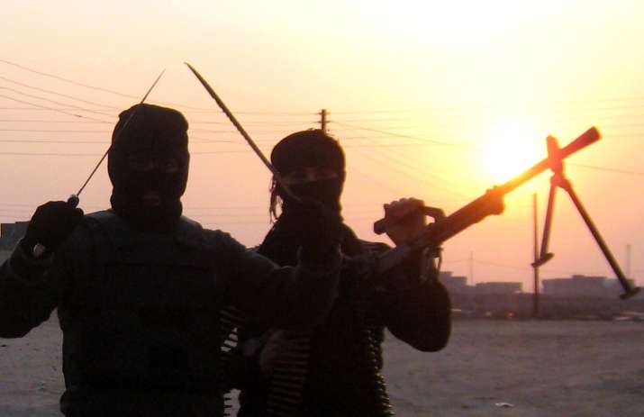 India-American, an ISIS sympathiser, sentenced 40 months