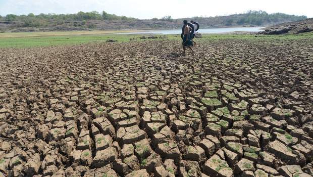 All Tamil Nadu districts declared drought-hit, CM Panneerselvam ...