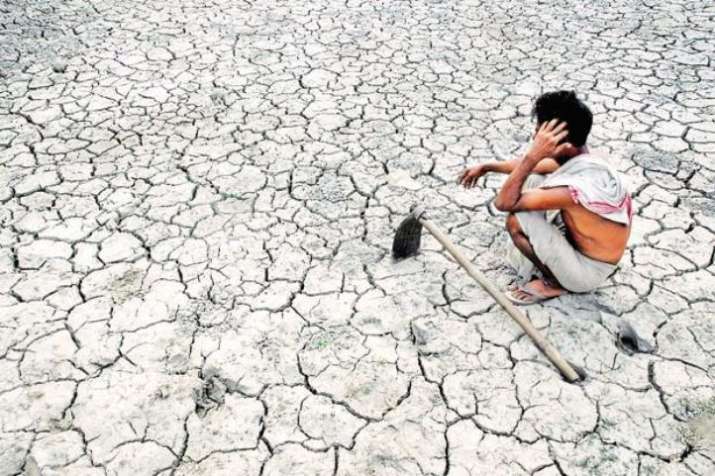 42 Pc Rise In Farmer Suicides In 2015 Maharashtra Tops The Chart Again Ncrb India News 6540