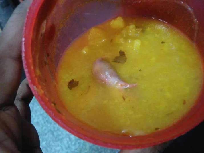 India Tv - Nine students hospitalised after dead rat found in Delhi school's mid-day meal India Tv - Nine students hospitalised after dead rat found in Delhi school's mid-day meal