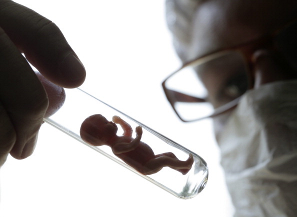 Shariat court legalises ‘test tube baby’ method in