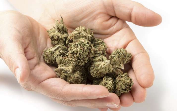 This country has approved the medicinal use of Marijuana!