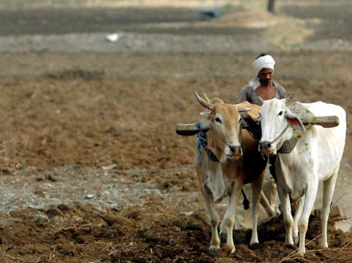 389 farmers committed suicide in Maharashtra this year: