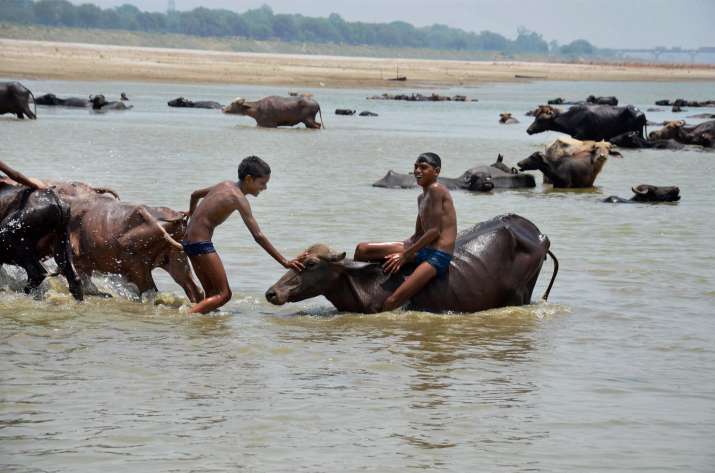 Panel is framing a draft law on the cleaning of the Ganga