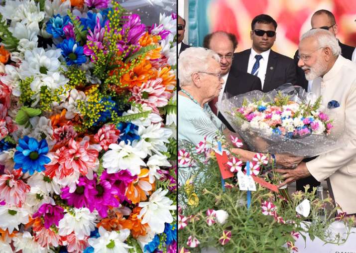 New Israeli flower named after PM Modi